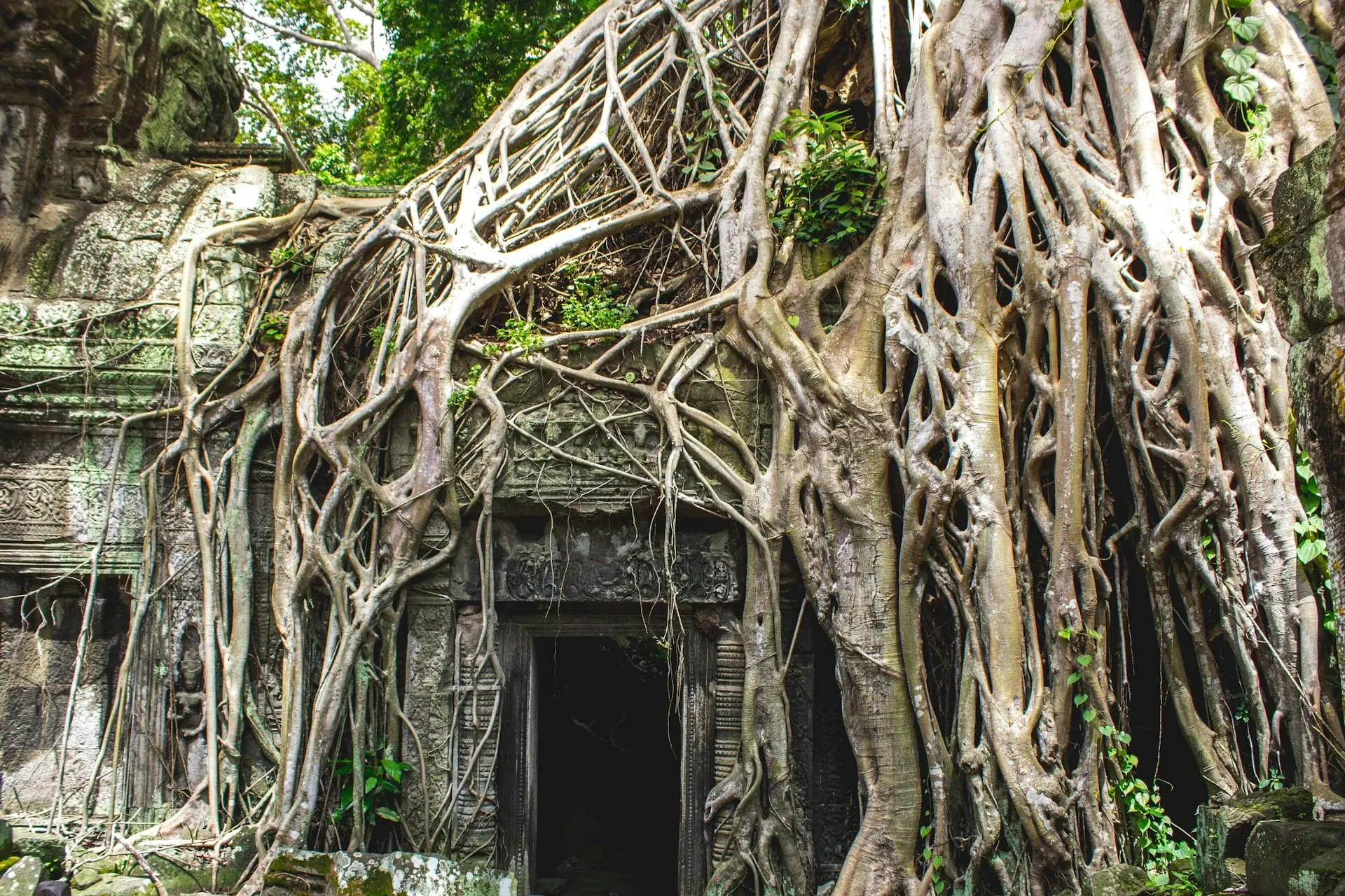 coming soon - entrance of bayon temple
